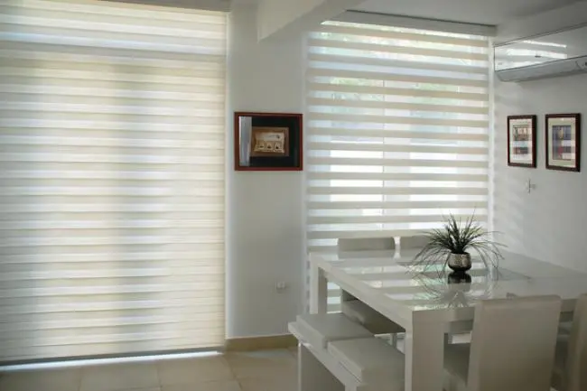 Proyecto Specialist